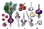Vegetables vector sketch watercolor, a Food Illustration by irina.vaneeva (Thumbnail 17 of 18)