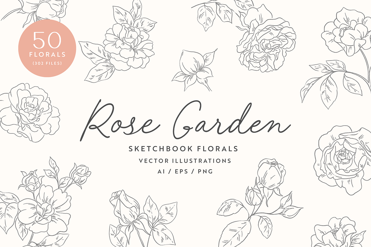 Rose Garden Vector Illustrations, an Illustration by Emma Webb Studio (Photo 1 of 8)