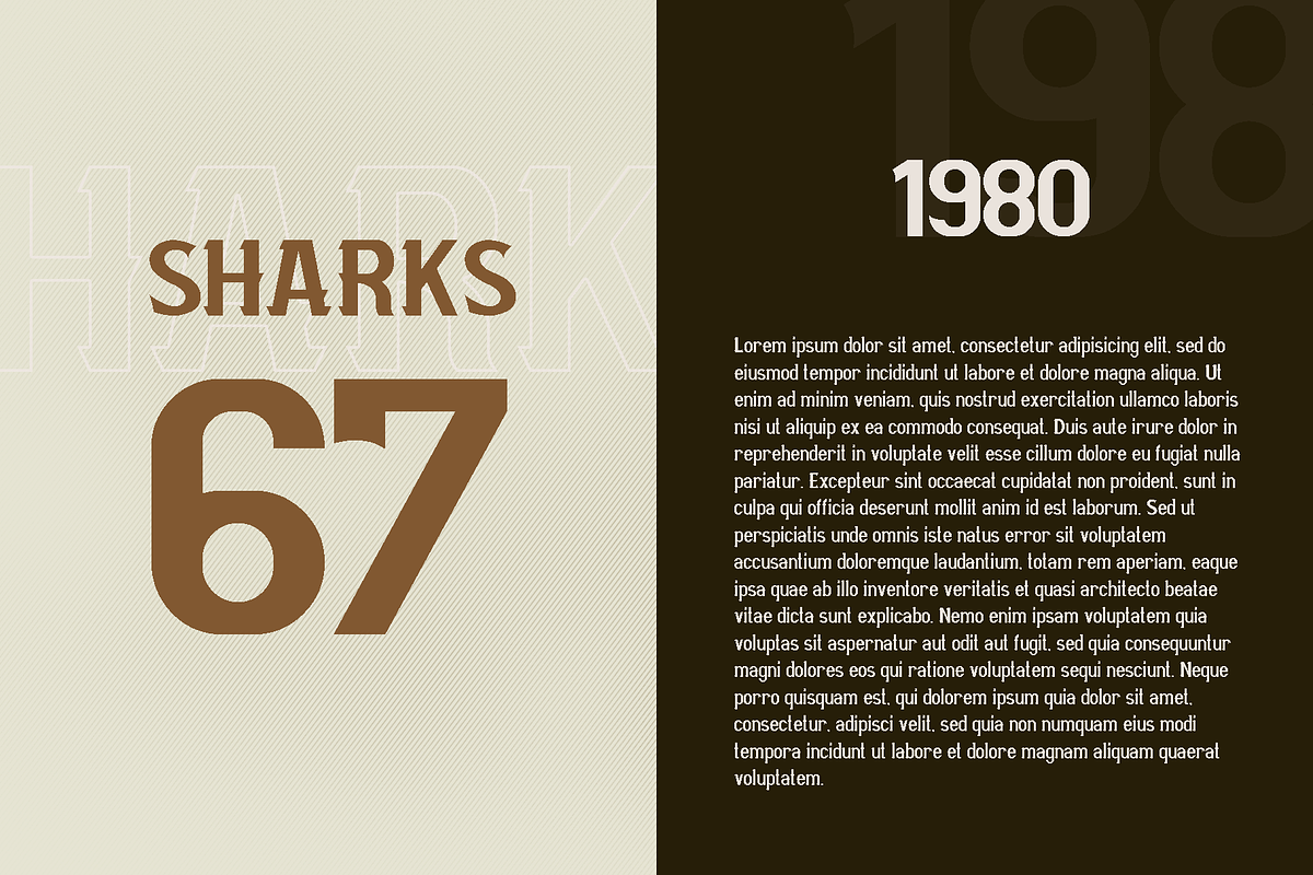 Mourbout - NFC Font Family preview 6