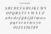 The Positive Sailing Serif (15 Font), a Serif Font by Positive TypeFoundry (Thumbnail 16 of 19)