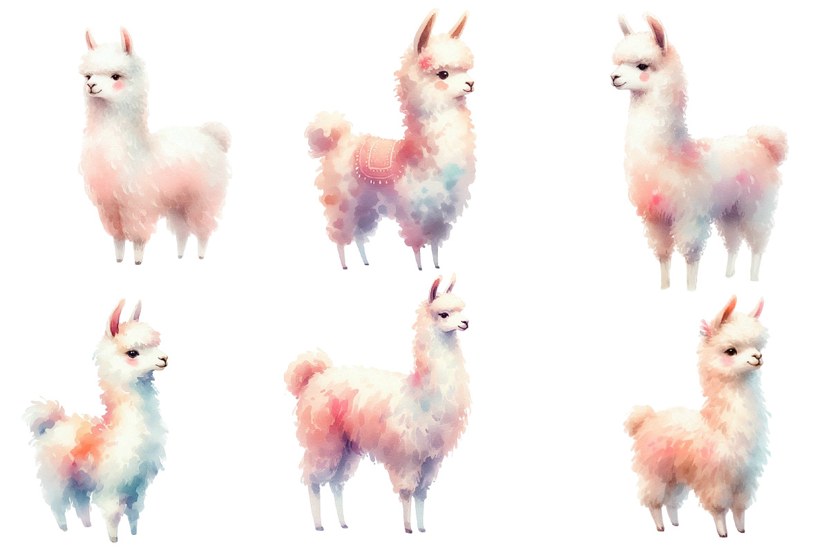 Watercolor Llama clipart, an Illustration by Designworld (Photo 4 of 5)