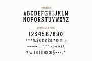 Home Decor - Vintage Slab Serif Font, a Slab Serif Font by ariodsgn (Thumbnail 2 of 7)