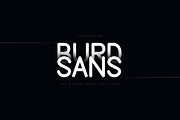 Burd Sans - The Multilingual Font, a Sans Serif Font by AndriyFM (Thumbnail 1 of 7)