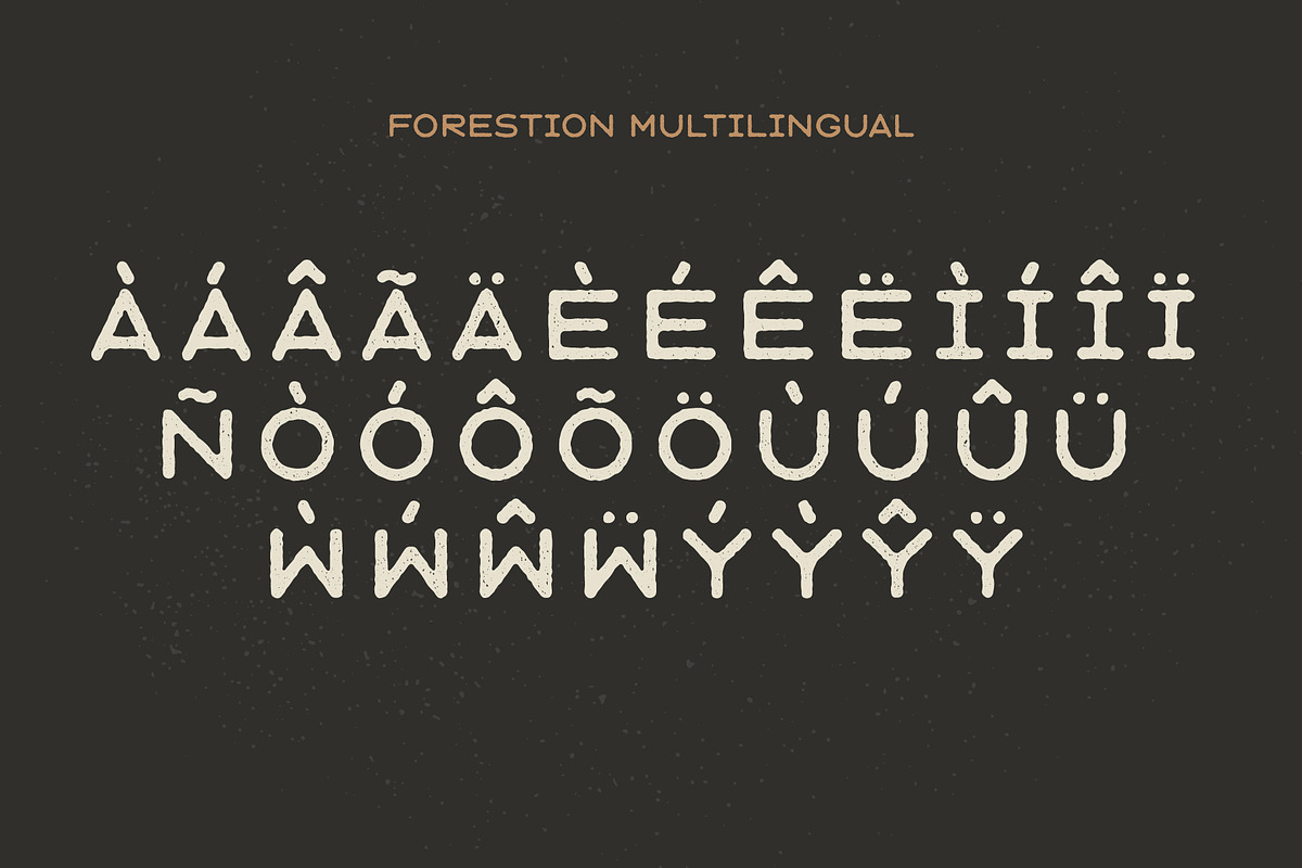 SALE : Forestion Font, a Sans Serif Font by FlashGraphics (Photo 4 of 7)
