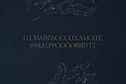 Hidden Gem Serif + Cyrillic and more, a Serif Font by VP Fonts (Thumbnail 18 of 22)