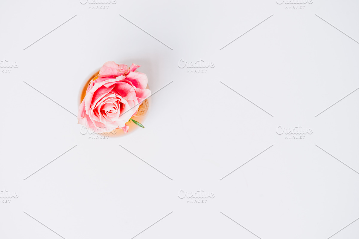 Pack 3 i styled stock stock photo containing minimalist and succulents, a Business Photo by SophieStockBoutique (Photo 4 of 4)