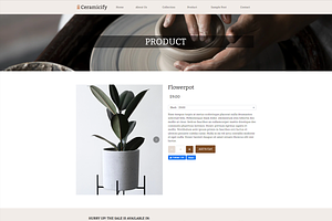 Ceramicify Pagefly Shopify Template