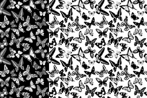 Butterflies Hand Drawn Collection