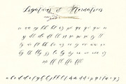 Zemarah script - 3 styles + Extras, a Script Font by VP Fonts (Thumbnail 9 of 14)