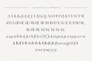Badire - Unique Typeface, a Sans Serif Font by Issam Type (Thumbnail 15 of 15)