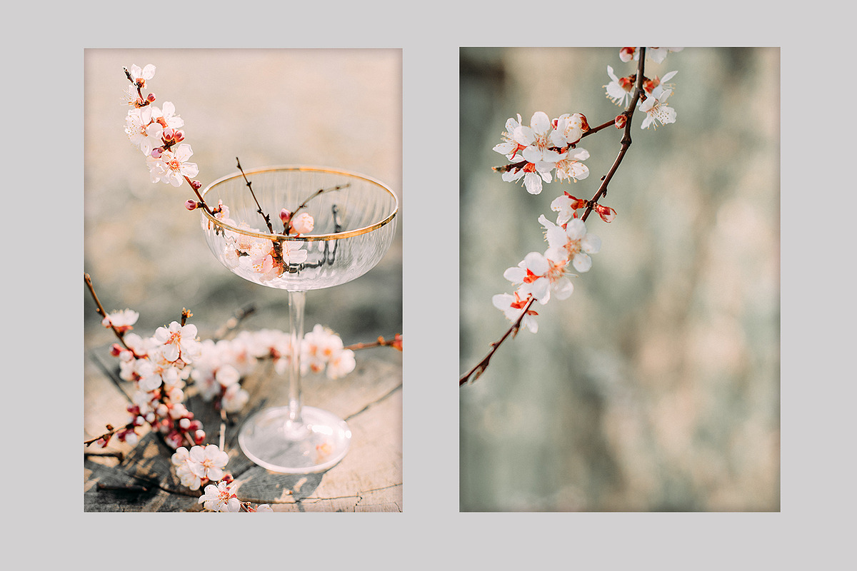 Spring Blossom Bundle, a Nature Photo by akovtun (Photo 4 of 6)
