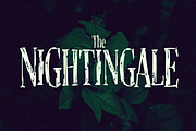 The Phantom Isles: Retro Tiki Font, a Symbol Font by Wingsart Studio (Thumbnail 19 of 19)