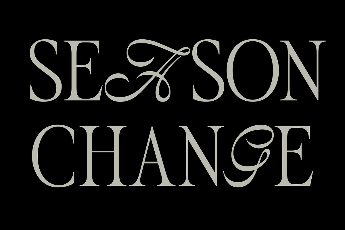ED Cadamuro - Combination font, a Serif Font by Emyself Design (Photo 2 of 10)