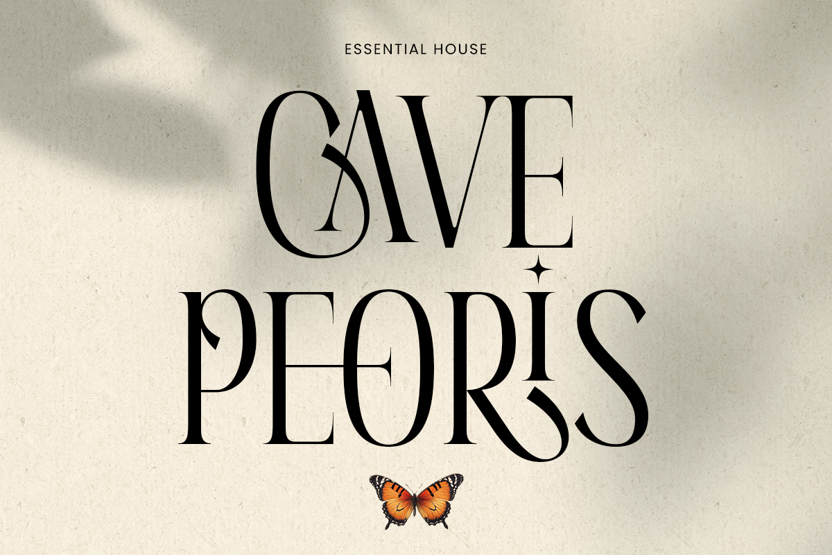 Aqila - Condensed Luxury Font, a Serif Font by Sensatype (Photo 5 of 12)