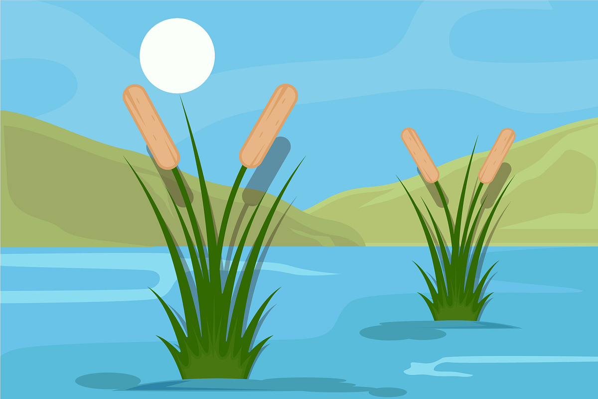 cattails at lake landscaped vector, an Object Illustration by zyxroun shop
