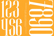 Winstgue Modern Vintage Serif, a Serif Font by timelesstype.co (Thumbnail 2 of 20)