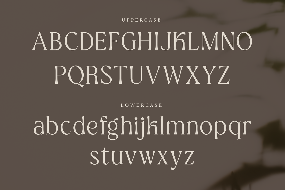 Botanics Display Variable, a Serif Font by Typetemp Studio (Photo 10 of 11)
