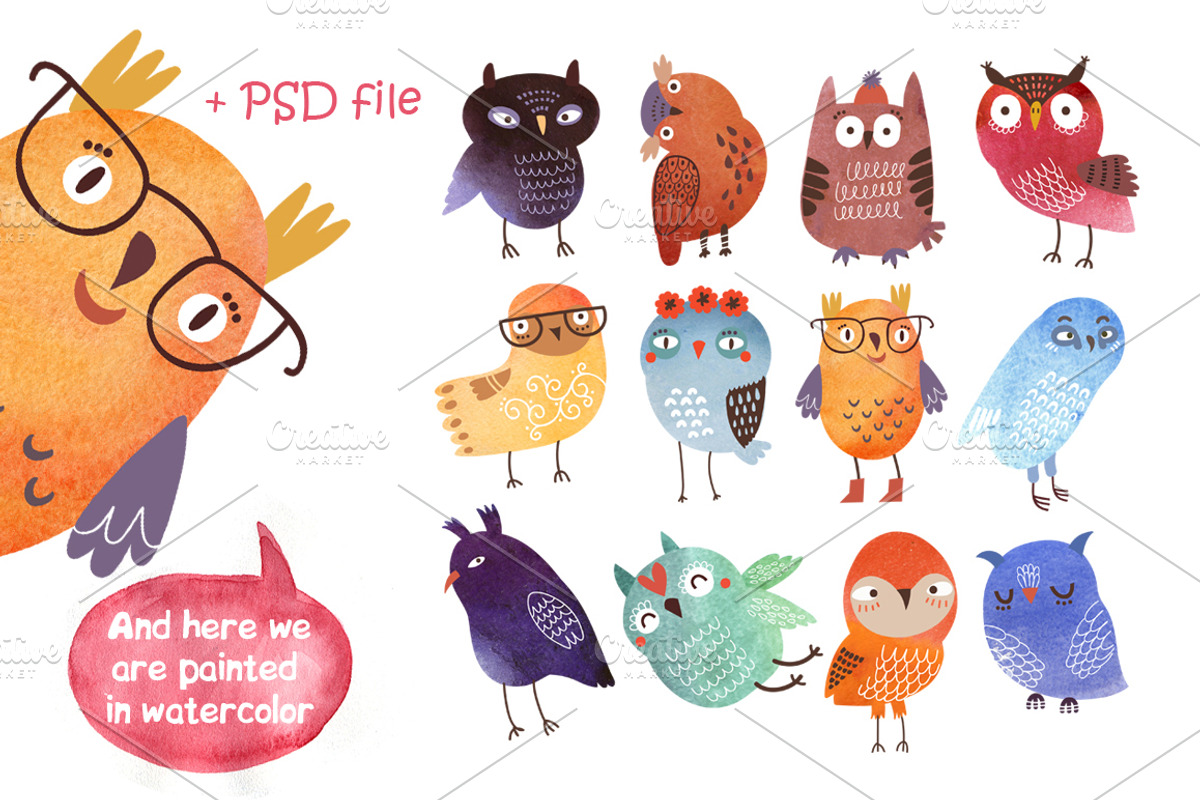 12 owls. Vector and watercolor set, an Animal Illustration by Anna Guz's Store (Photo 3 of 3)