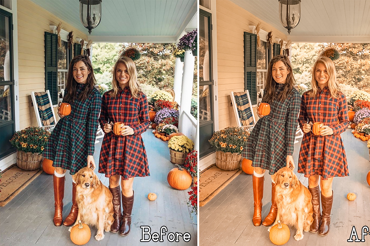 6 Autumn Lightroom Photo Presets, a Preset Add-On by Presets by Yevhen (Photo 5 of 11)