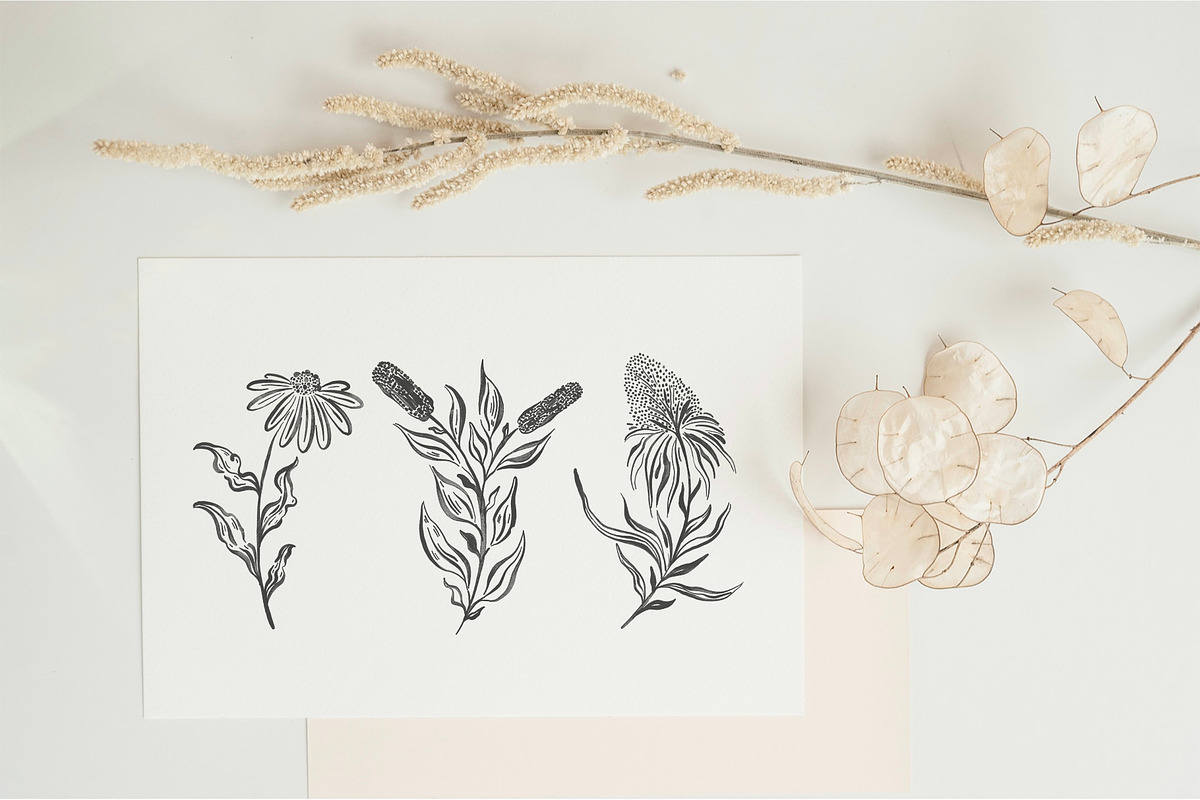 Flower ink hand drawn illustration, a Decorative Illustration by Moonflora (Photo 6 of 11)