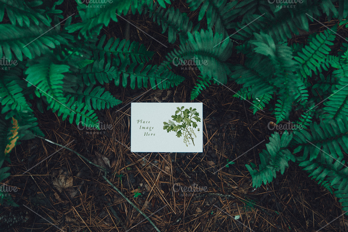 Foliage Frames Vol. 1 - Mockups, a Print Template by Wild Joy Studios (Photo 2 of 6)