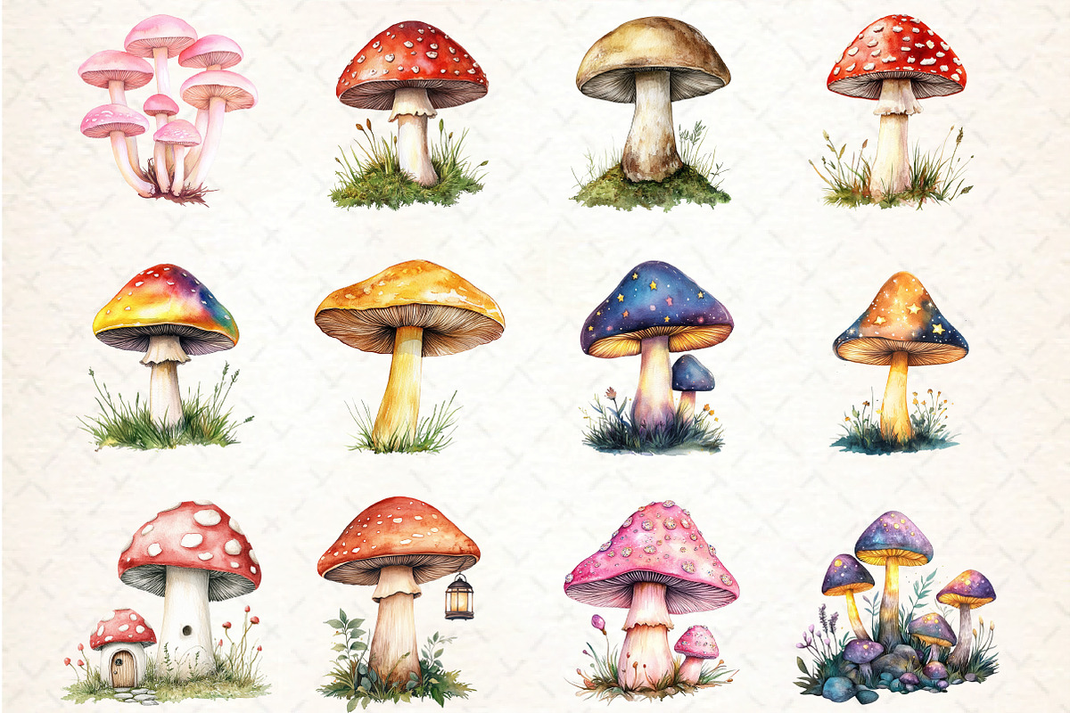 Mushrooms Clipart Bundle, an Illustration by DreamCafeArt (Photo 5 of 5)