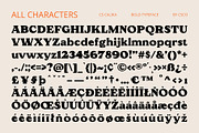 CS Calika – Bold Font, a Serif Font by Craft Supply Co. (Thumbnail 8 of 8)