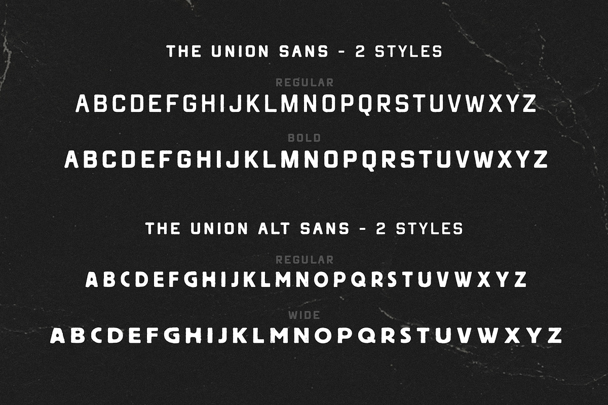 The Union Font Bundle + Extra, a Handwritten Font by Davide Bassu (Photo 15 of 16)