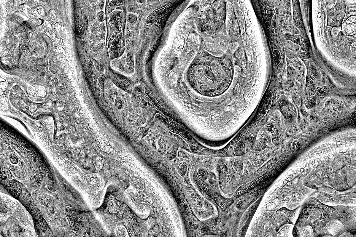 Cytoplasm, a Texture Graphic by Jennifer Lauren Creative (Photo 2 of 9)