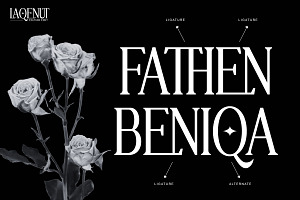 Laqenut - Serif Display Font