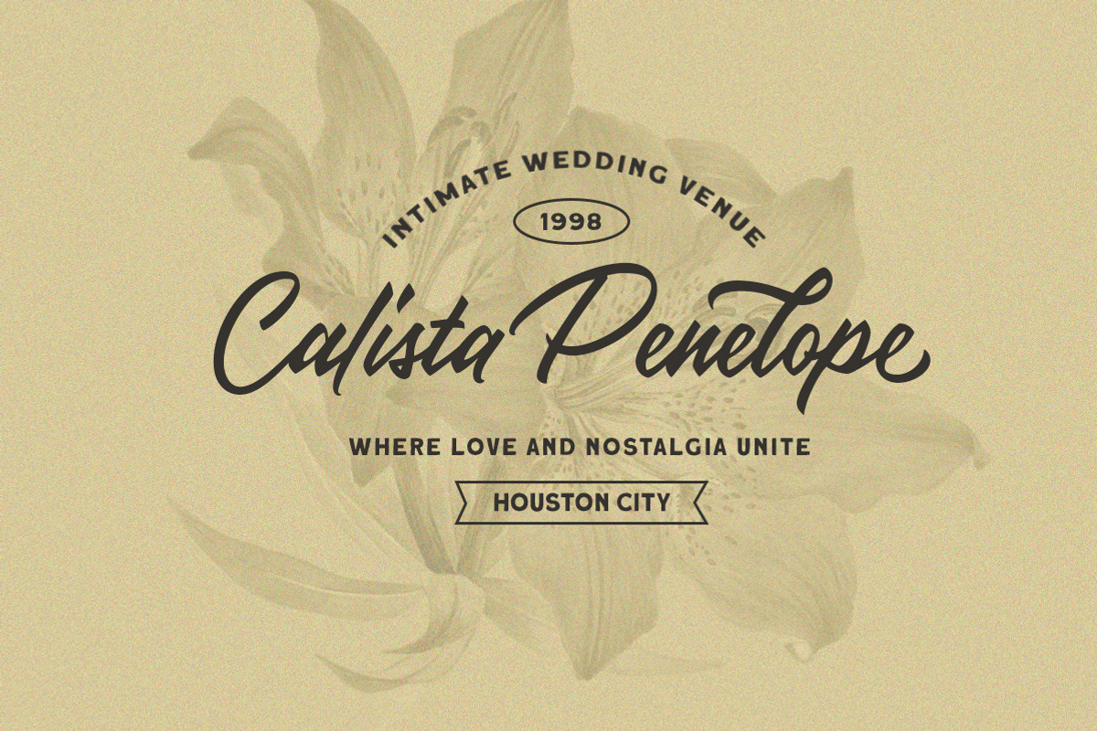 Thalia Threshold - Brush Script, a Script Font by Letterhend Studio (Photo 3 of 9)