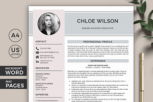 Modern Resume Template Word