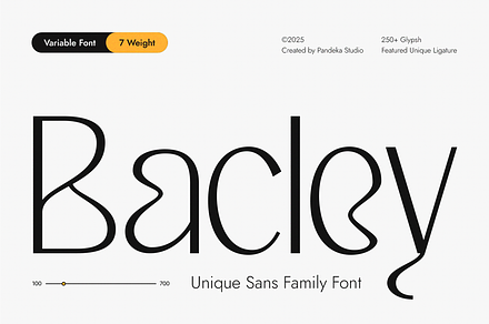 Bacley – Modern Elegant Sans