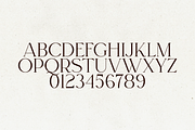 Regal - Elegant Serif Font, a Serif Font by Only Fonts (Thumbnail 8 of 10)