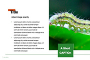 Colorful Template For Any Use, a Templates & Theme by Iconography - Pitch Deck (Thumbnail 22 of 36)