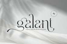 Galant || Modern Minimalist Serif Fo