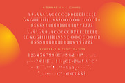 Belhinco Luxury Display Serif Font, a Serif Font by timelesstype.co (Thumbnail 18 of 20)