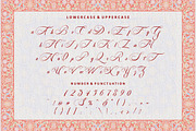 Glamorous Carpet - Luxurious Font, a Script Font by PutraCetol Studio (Thumbnail 10 of 11)