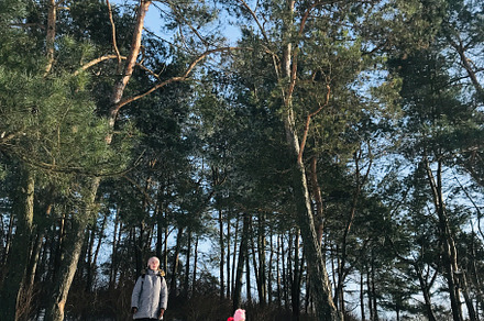 Family enjoys a winter day walk through the snowy forest, a Photo by AS photostudio