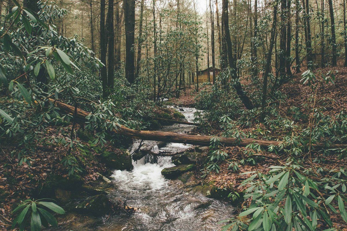Nature Photo Pack, a Nature Photo by baker2512 (Photo 7 of 20)