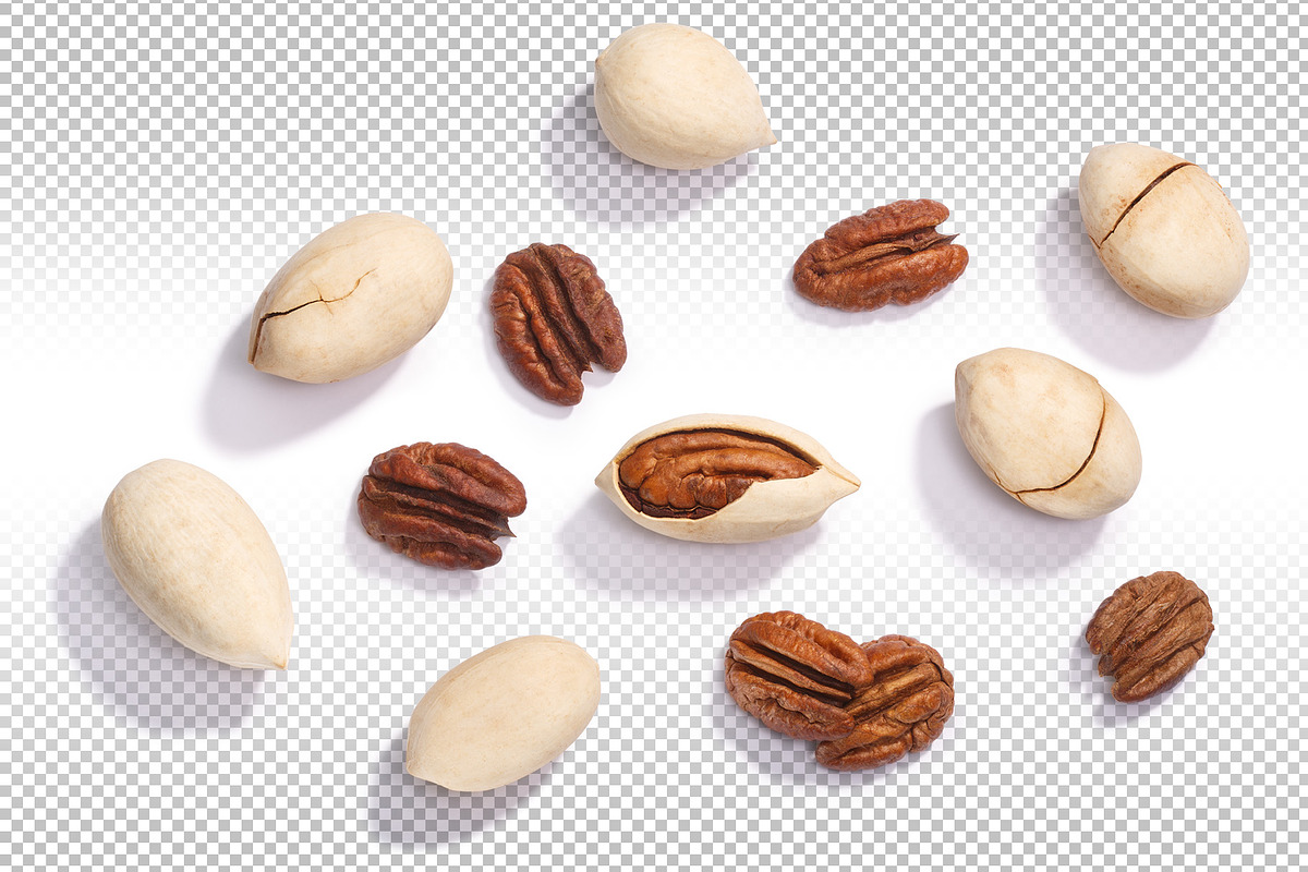 Pecans, an Object Graphic by Hortimages (Photo 1 of 2)