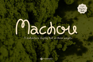 Machou Display Font in 3 Weights, a Sans Serif Font by Youandigraphics