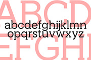 Noverion Slab, a Slab Serif Font by Typehill (Thumbnail 12 of 15)