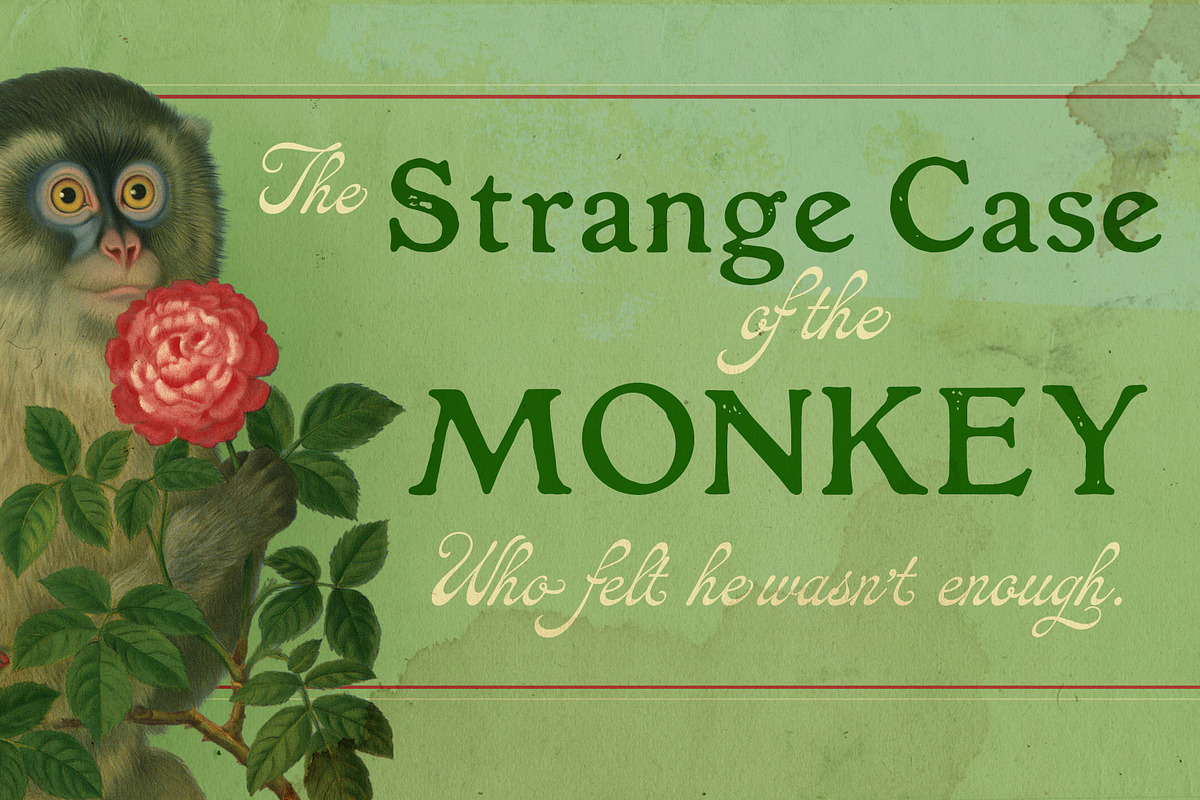 The Elixir, a Serif Font by Misprinted Type (Photo 3 of 4)