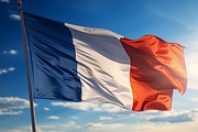 Flag of France. 28 images, an Object Illustration by Handmadefont (Thumbnail 7 of 9)