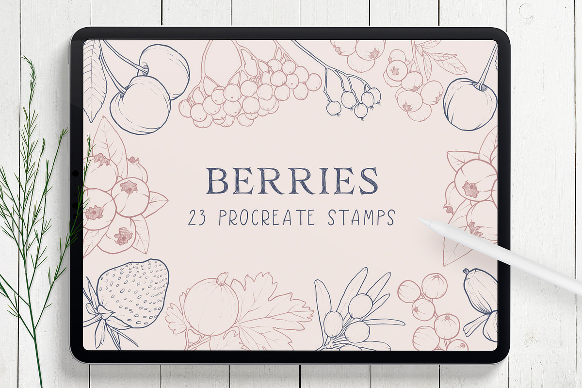Berries Procreate Stamp Brushes, a Brush Add-On by Little Nordic Atelier (Photo 1 of 4)