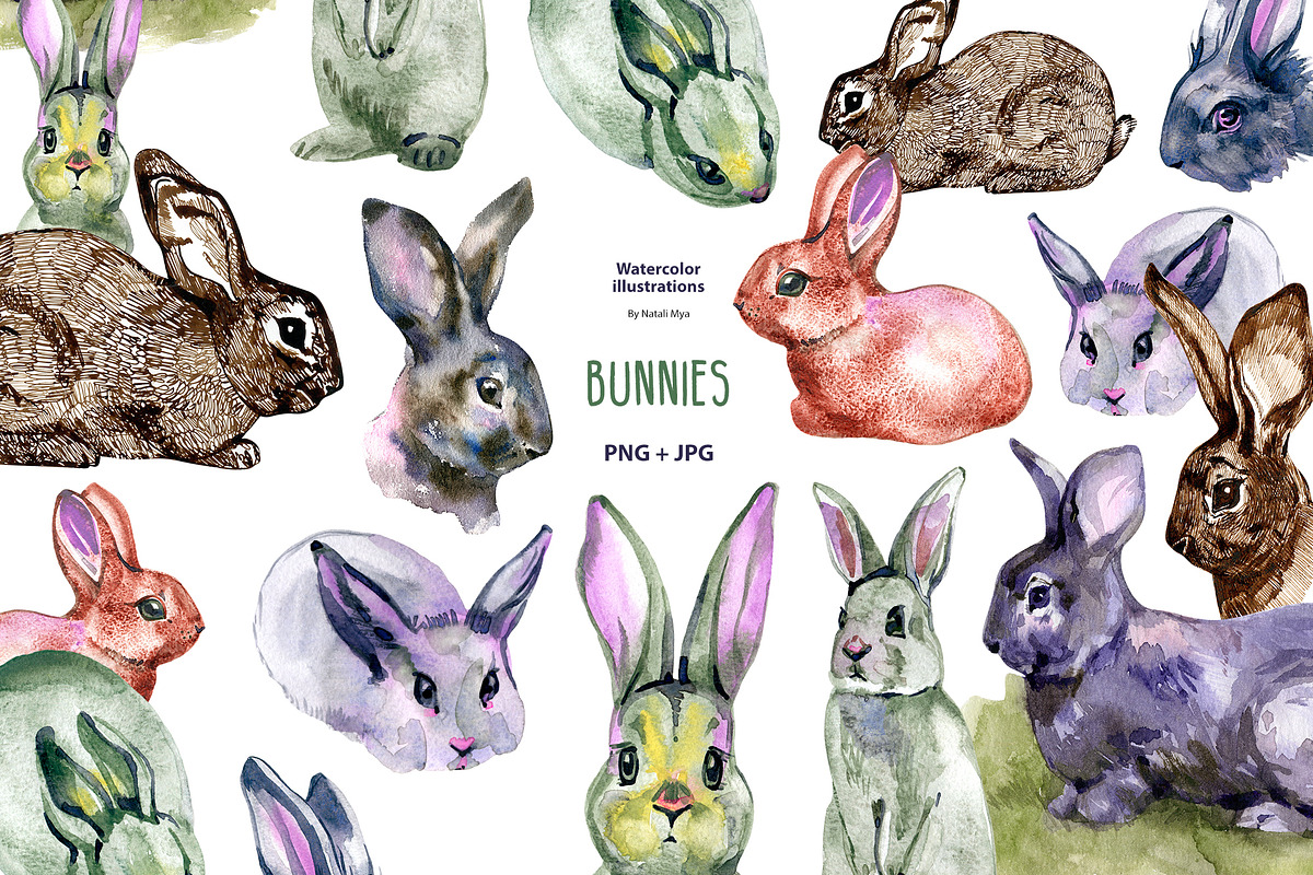 10 watercolor & ink bunnies clipart, an Animal Illustration by NataliMiasStore (Photo 1 of 5)