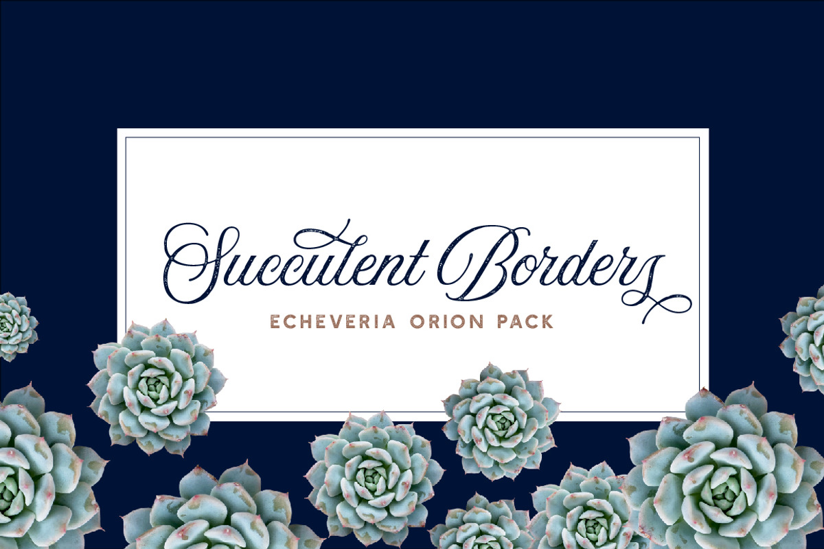 Succulent Borders - Botanic ClipArt, an Object Graphic by Turning Moss (Photo 2 of 5)