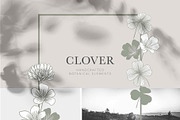 Clover Botanicals - Florals & Leaves, an Illustration by Momo Studio (Thumbnail 4 of 12)