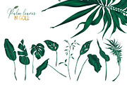 Palm leaves collection in gold, a Texture Illustration by Gluiki (Thumbnail 7 of 11)